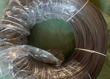 İyi bir fiyat. Park Çiti İçin ISO / BV Galvaniz Kaplama Yaylı Tel Bobin Yüksek Karbonlu çevrimiçi